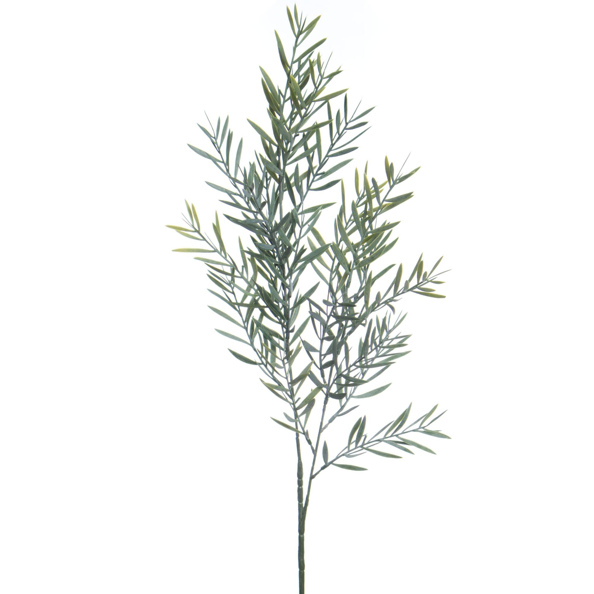 28.5" Green Acacia Leaf Stem by Ashland®